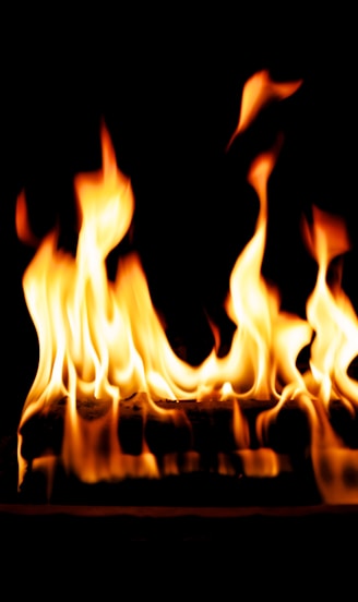 fire on firepit