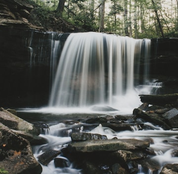 waterfalls surrounded by green leaf trees