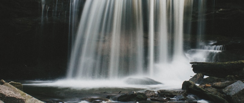 waterfalls surrounded by green leaf trees