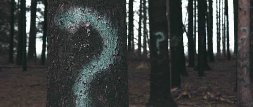 forest trees marked with question marks