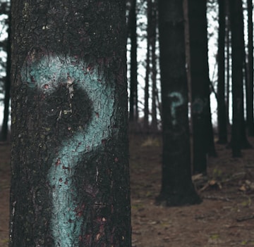 forest trees marked with question marks